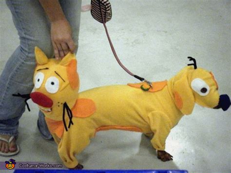 Catdog Costume Ideas For Pets
