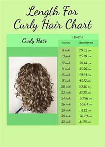 Length Chart For Curly Hair In Illustrator Pdf Download Template Net