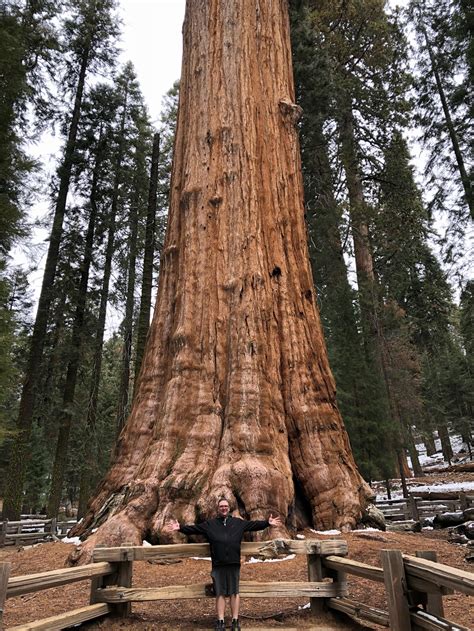 A Guest Post From Anns Brother About His Unplanned Stop Sequoia