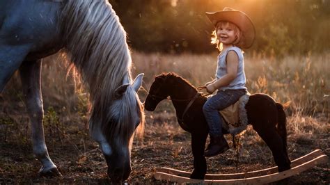 Cute Horse Wallpapers 54 Pictures