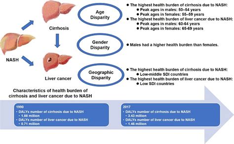 Age Gender And Geographic Differences In Global Health Burden Of Cirrhosis And Liver Cancer Due