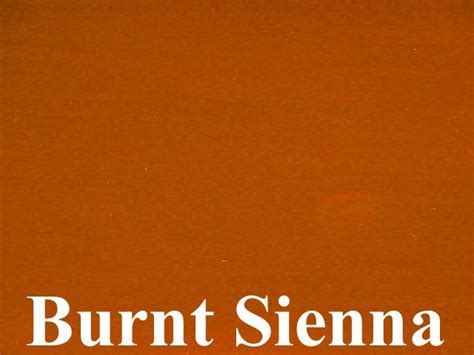 Burnt Sienna Color Palette Venice Leone