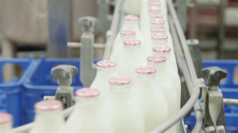 However, glass bottles also have their shortcomings, such as heavyweight, high transportation and storage costs, and low impact resistance. COTTESWOLD DAIRY Glass Bottle Milk Production - YouTube