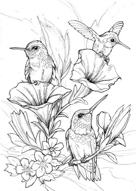 Coloring Page Birds