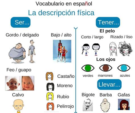 La descripción física en español. Vocabulario en español ...