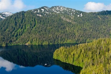 Targeting The Tongass National Forest For Amazon Like Destruction The