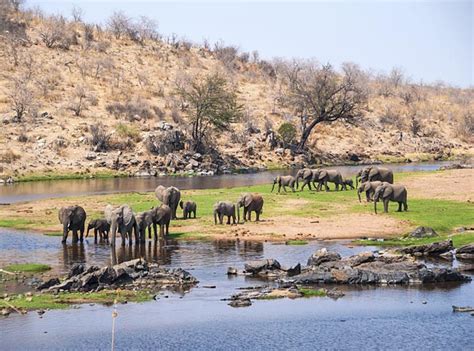 ruaha national park tanzania safari national parks