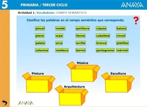 Ceip San Miguel 4º De Primaria Campo Semántico