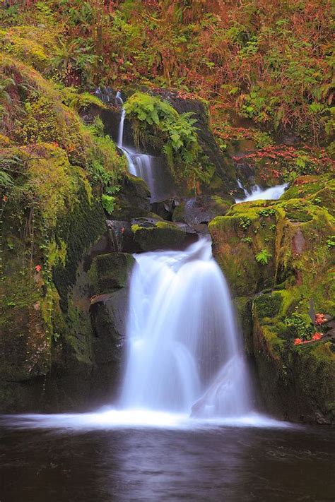 Sweet Creek Falls Mapleton Oregon Oregon Waterfalls Oregon