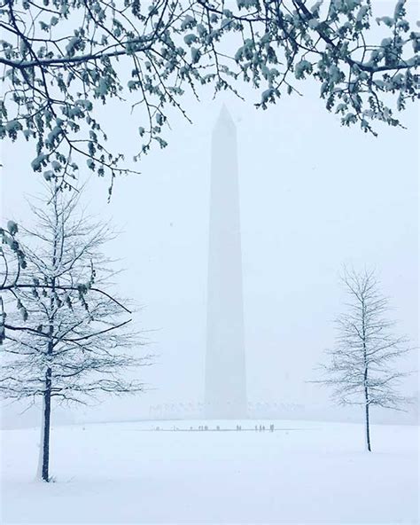 15 Remarkable Snowy Things To Do In Washington Dc