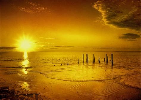 Golden Sunset By Photo Art By Mandy