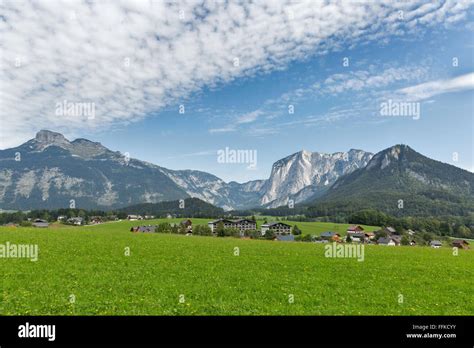 Idyllic Landscape In The Alps With Fresh Green Meadow And Blooming