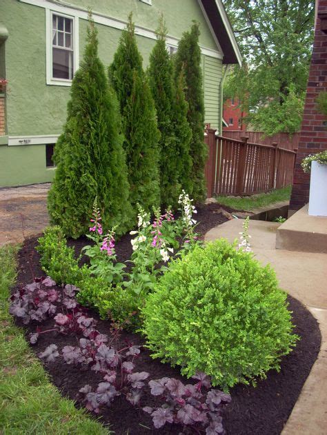Backyard Privacy Landscaping Trees Emerald Green 49 Ideas