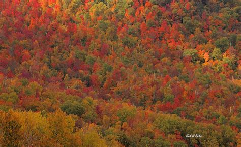 Autumn In New Hampshire New England