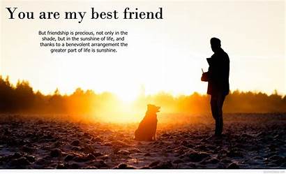 Friendship Friends Quotes Wallpapers Cool