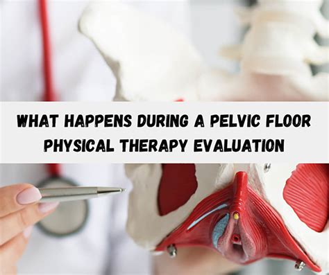What Happens During A Pelvic Floor Physical Therapy Evaluation