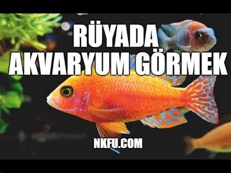 Rüyada Akvaryum Görmek Ne Anlama Gelir? Akvaryumda Balık Görmek Nedir