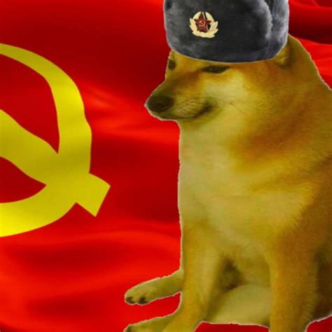 Comrade Doggo