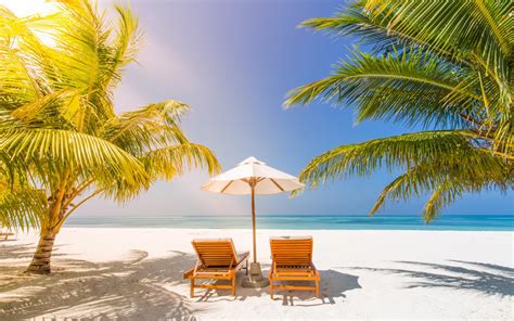 Download Wallpapers Beach Chairs Tropical Island Palm