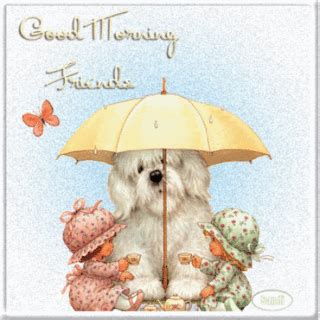 We did not find results for: Rain Pictures, Photos, Images, and Pics for Facebook ...