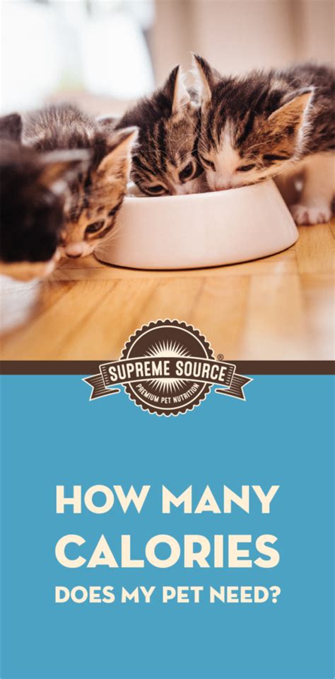 How Many Calories Does My Pet Need Supreme Source