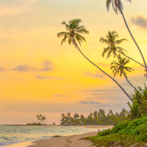 Sri Lanka Golden Sky Tropical Landscape Photography Print