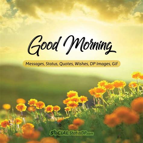 100 Best 🌻🌞 Good Morning 🌞🌻 Messages Status Quotes Wishes Dp