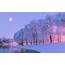 Wallpaper Beautiful Winter Snow Trees River Moon Dusk 2560x1600 HD 