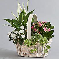 What are the best ways to save at marks & spencer? Gifts, Flowers & Hampers | Marks & Spencer