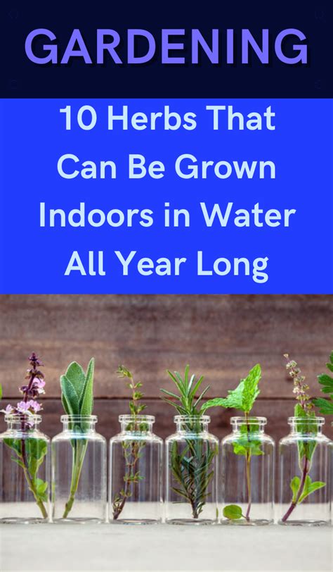 Growing Greens Growing Indoors Growing Herbs Growing Vegetables