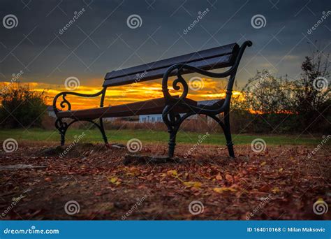 Bench In The Park At Autumn Sunset Stock Photo Image Of Relax Empty