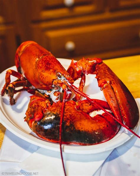 Nova Scotia Lobster 20 Ways To Enjoy Lobster In Nova Scotia