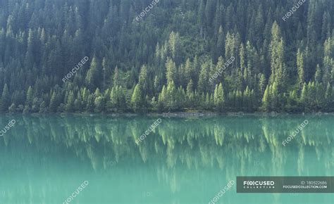 Pine Trees Reflecting In Mountain Lake Green Water — Reflection Calm