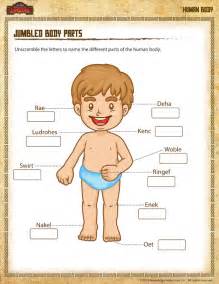 Free Parts Of The Body Download Free Parts Of The Body Png Images