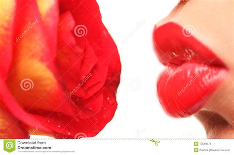 Lips And Rose Stock Image Image Of Romantic Fragile 17549779