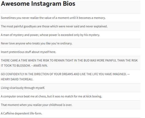 List Of Funny Instagram Bios Status And Ideas Whitedust