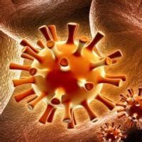 In severe cases, such as for those who are immunocompromised, herpes may take months to completely disappear. Sexual Health Clinic - Genital Herpes