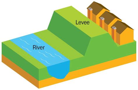 What Is A Levee