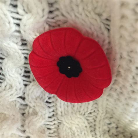 Poppy Etiquette The Toronto Observer