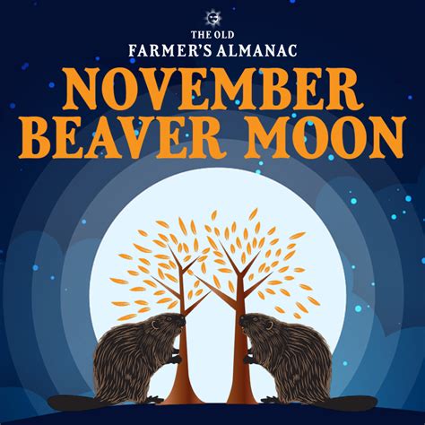 The Beaver Moon Reaches Peak The Old Farmers Almanac