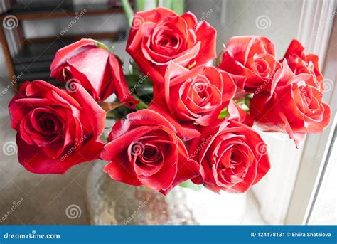A Bunch Of Red Roses Stock Image Image Of Concept Amour 124178131