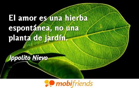 Frases Para Vender Plantas Abstractor