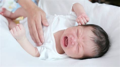Bayi tak berak tapi kentut. Bayi Tidak Berak. Mama Jangan Terus Panik! | KelabMama ...