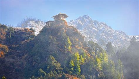 Bhutan Overseas Travel Bhutan Ancient Forest
