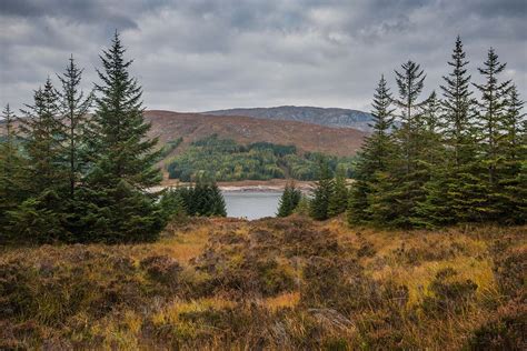 Kilnaish Reserva Natural Escocesa Highland Titles