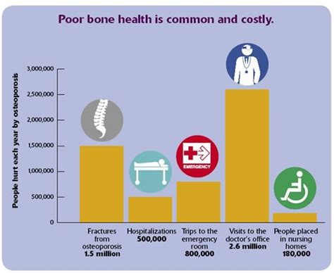 Bone Disease Is A Condition That Damages The Skeleton And Makes Bones