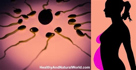 How Long Sperm Can Live And How To Improve Its Lifespan