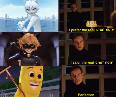 The Real Chat Noir Miraculousladybug