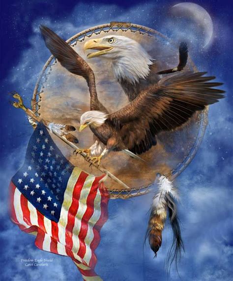 Patriotic Series Freedom Eagle Shield Eagle Pictures Bald Eagle