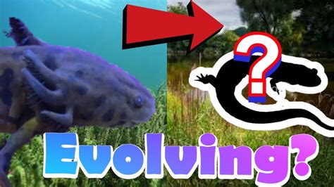 My Baby Dinosaur Is Evolving Axolotl Metamorphosing Youtube